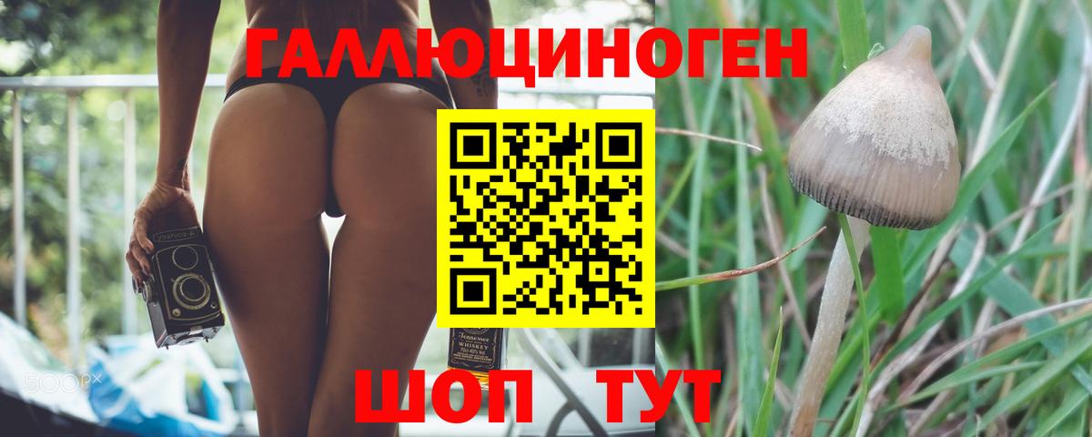 Галлюциногенные грибы мухоморы  Вход с VPN  Феодосия  дарнет шоп  Галлюциногенные грибы ЛСД 